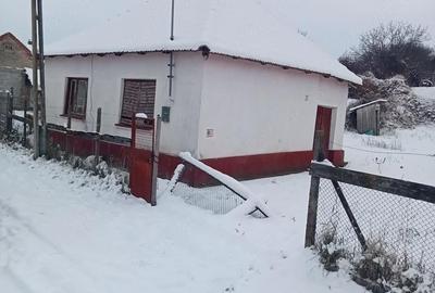 Casă cu Teren 450 Mp în Roșiori - 2