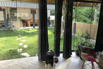 Casa de vanzare casa de vacan?a in sat turistic Suncuius (BH) oportunitate de afaceri - 4