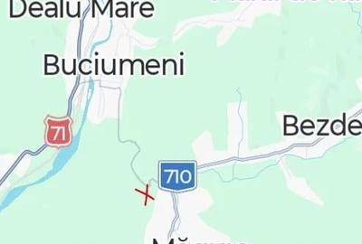 Teren de 25500 mp, în Bezdead - 1
