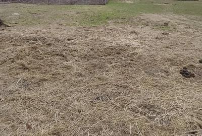 Casă cu 2 camere cu Teren 5 Mp în Central - 5