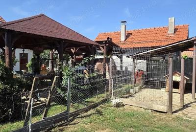 Casă în Păulești - 10