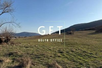 Teren în Viișoara - 1