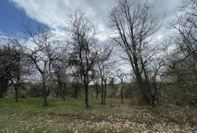 Casă cu 2 camere cu Teren 10000 Mp în Central - 2