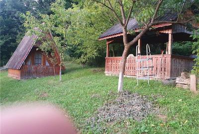 Casă cu 5 camere cu Teren 1258 Mp în Brad - 4