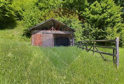 Comision 0%! Proprietate in natura, priveliste superba, Sita Buzaului - 8