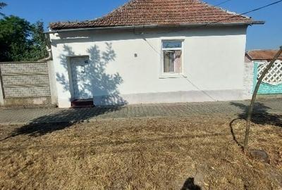 Vind casă in Voiteg Timis - 2