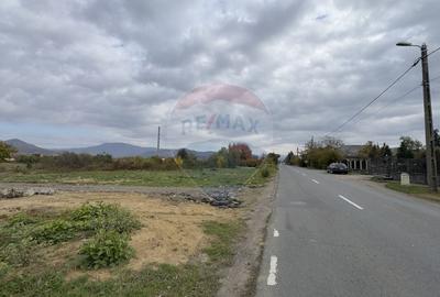 Teren de vanzare - Str. Dumbravei, cu front la centura (26 m) - 1