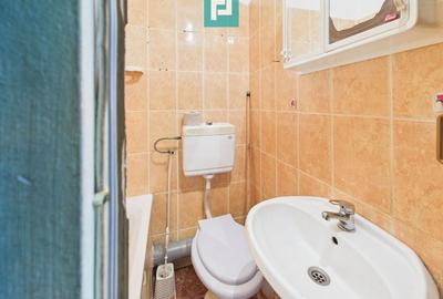 Garsonieră complet utilată - Calea Torontalului - 8