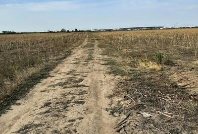 Teren, zona industriala, in Domnesti. Tarlaua 7, depozitele Logistics Park, A1 - 2