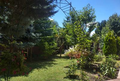 Vila de vanzare in Snagov in vecinatatea padurii Vila de vanzare in Snagov in vecinatatea padurii - 3