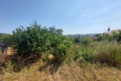 Teren pentru casa in Osebiti, Luizi Calugara - 6