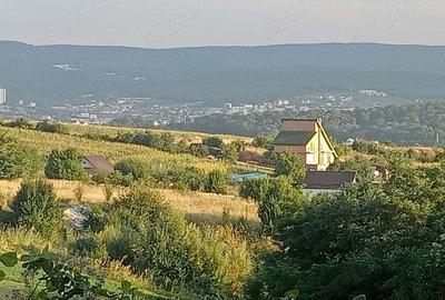 Spațiu comercial, în Dâmbul Rotund - 3