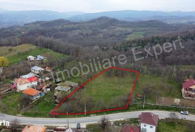 Teren de 2674 mp, în Cepari - 5