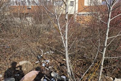 Teren Padurea Craiului - 520mp - 1