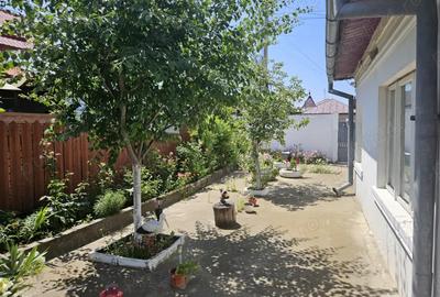 Casa de vanzare in Bal? - 10