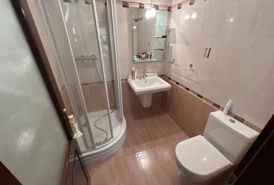 Casa moderna P+1E+M Lugoj 511mp - 13