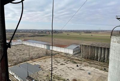 Spațiu comercial, de 25,831 mp, în Periș - 4