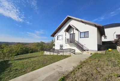 Casa Parter Valea Lupului , 155mp utili,1550mp teren + padure - 5