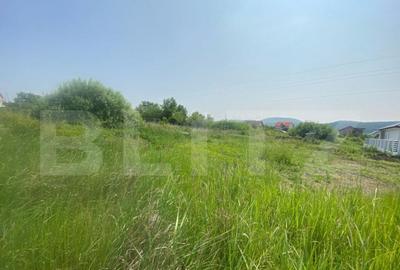 Teren intravilan 900 mp Zona lini?tita Valea Rusului, - 1