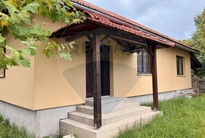 Casă individuală cu 4 camere cu Teren 250 Mp în Ocna Șugatag - 1