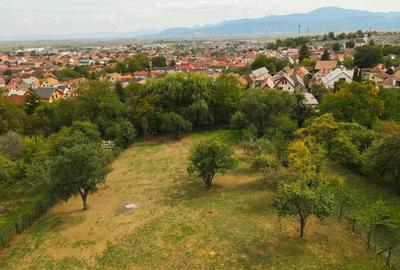 Teren Construcții intravilan de 3290 mp, în Codlea - 2