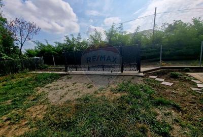 Oaza de liniste: casa cu livada si teren generos - Girov - 50