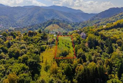 COMISION 0% Teren 2700mp / Strada Coltul Putinarilor/Poiana Brasov COMISION 0% Teren 2700mp / Strada Coltul Putinarilor/Poiana Brasov - 6