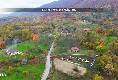 Spațiu comercial, în Copalnic