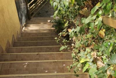 Casă cu 3 camere cu Teren 300 Mp în Pieptănari - 12