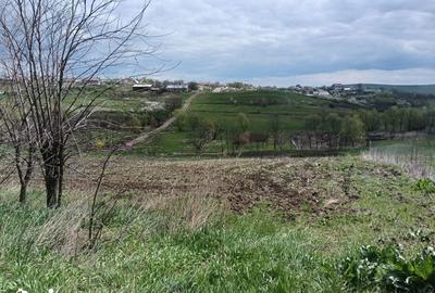 Teren de 3150 mp, în Răchiți - 3