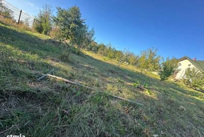 Spațiu comercial, în Central - 2