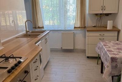 Apartament de vanzare, cu 2 camere, decomandat, 54 mp, zona Terezian - 2