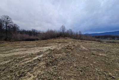 Teren Construcții intravilan de 748 mp, în Bârnova - 4