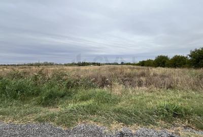 Teren agricol intravilan de 15000 mp, în Ionești - 1