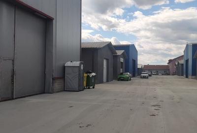 Hale renovate Oras Pantelimon module 200-400 mp ( zona industriala ) - 3