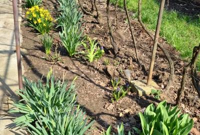 Vanzare  Casa  Voluntari - Casa Pipera   Comision 0% Cumparator - 12