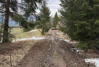 Teren de 11500 mp, în Exterior Vest - 2