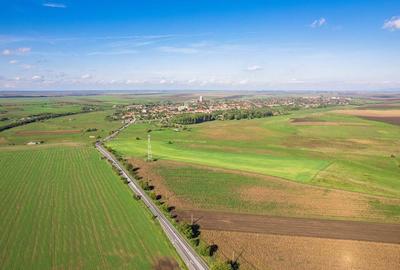 Teren de 104000 mp in Vinga - 13