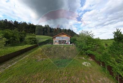 Casa de vanzare - Bistrita, zona Alexandru cel Bun - 14