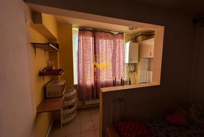 Garsoniera, Zona Kaufland, Campului, Pet Friendly, USAMV, Manastur - 6