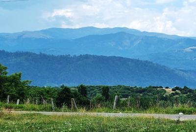 Teren Construcții intravilan de 5700 mp, în Câmpulung Muscel - 5