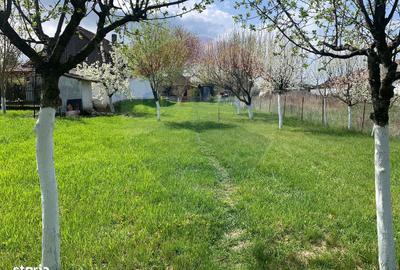 Casă cu 3 camere cu Teren 1090 Mp în Avram Iancu - 11