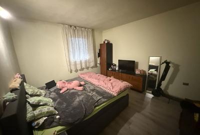 Casă cu 3 camere în Vladimirescu - 3