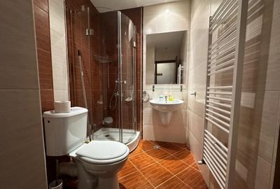 Apartament de vanzare zona Aradului Apartament de vanzare zona Aradului - 3