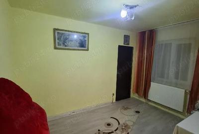 Apartament cu 2 camere nedecomandat în Petros