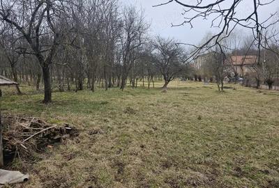 Casa de vanzare in Sat Sacel, Com. Baisoara - 6