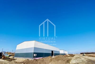 Spațiu industrial, de 528 mp, în Vest - 4