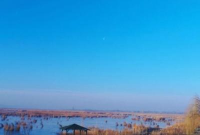 Vand teren intravilan 4000MP cu dechidere la Delta Neajlovu - 2