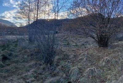 Teren Construcții intravilan de 3422 mp, în Central - 3