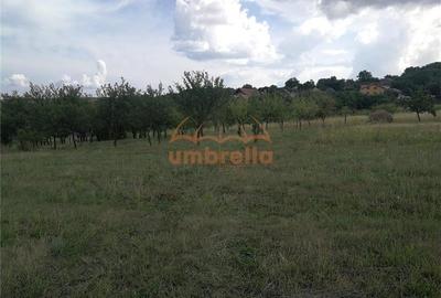 De vanzare teren 1.800/? intrav. in Deus- Chinteni ! - 5